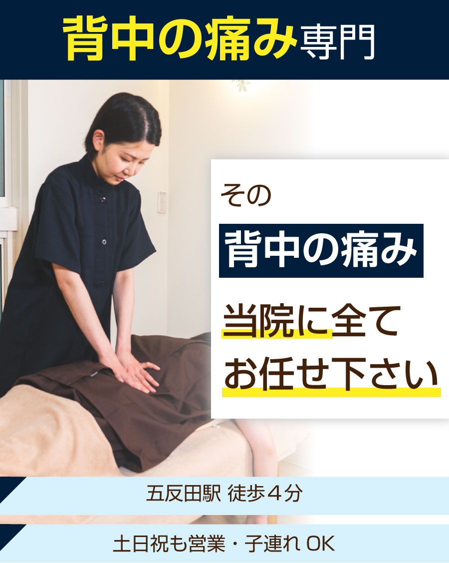 五反田 整体,五反田 鍼灸,五反田 整骨院